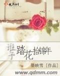 踏花辞旧岁 拾锦又一年