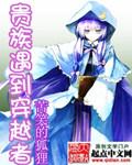 穿越贵族8需要多少钱
