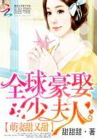 全球豪娶小逃妻txt