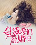 总裁老公我们结婚吧全文免费阅读
