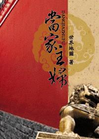当家主妇电视剧全集