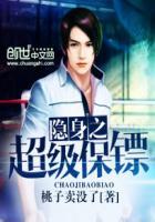 隐身保镖