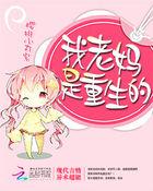 重生之我妈是首富