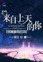 来自上天的馈赠 怎么形容