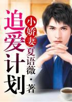 娇宠小妻子