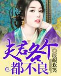 夫君们个个不好惹全文免费