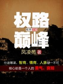 权路巅峰林毅全文最新章节列表