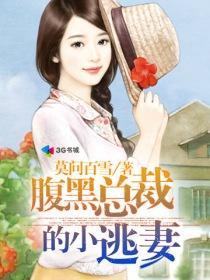 腹黑总裁的小逃妻 莫问百雪