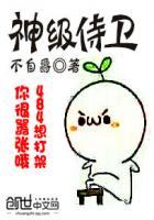 神级护卫最新免费阅读