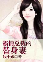 霸总的替身情人全文免费阅读