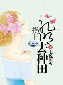 拐上孔明去种田的
