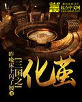 三国大时化4破解版