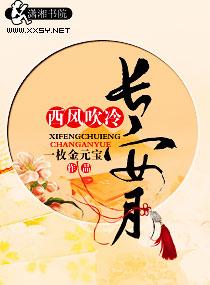 西风照长空