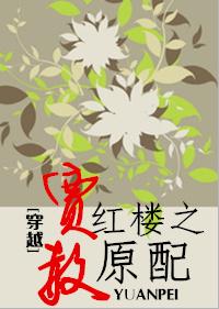 穿越红楼作贾赦