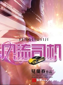 风流司机女乡长原作