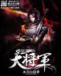 少年大将军全本txt