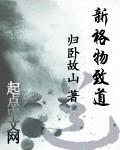 新格物致道 百度