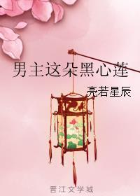 男主这朵黑心莲讲了什么