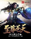 至尊天帝百科