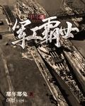 甲午之军工霸世类似