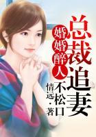 新婚总裁追妻难