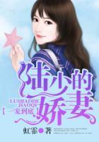 一宠到底陆少的心尖宠
