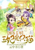报告王爷王妃是只猫24集