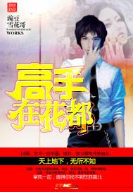 高手在花都叶秋