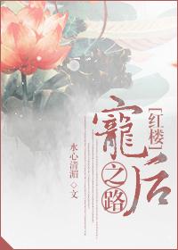 红楼之宠妃番外篇