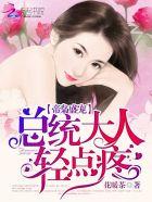 帝枭盛宠总统大人轻点宠