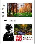 开发异界