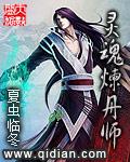 灵魂炼丹师是言情吗