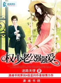 权少老公太无情txt