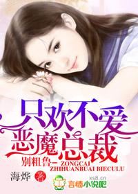 恶魔总裁别粗鲁 未删减版 海烨