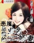 恶魔总裁的玩宠文 / 阳光融雪