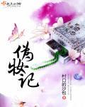 伪妆记女主男主