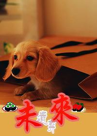 未来一期