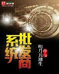 哪里有卖系统的