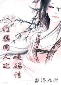 红楼同人之姨妈传 梨洛九洲