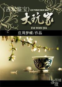 鉴宝大玩家123