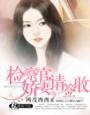 言情检察官