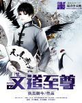 文道宗师