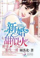 二胎生一对 作者顾落北