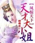 风惊天下天才大小姐