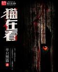 猫在看书什么动物