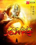 龙帝天尊免费阅读