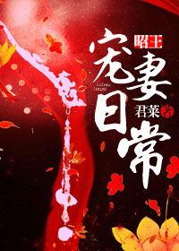 昭王宠妻日常相似