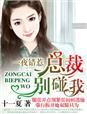 错惹总裁老婆投降吧 十一夏的评论