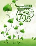 惹爱成婚总裁上司