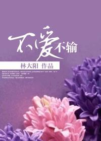 不爱不伤不痛免费阅读